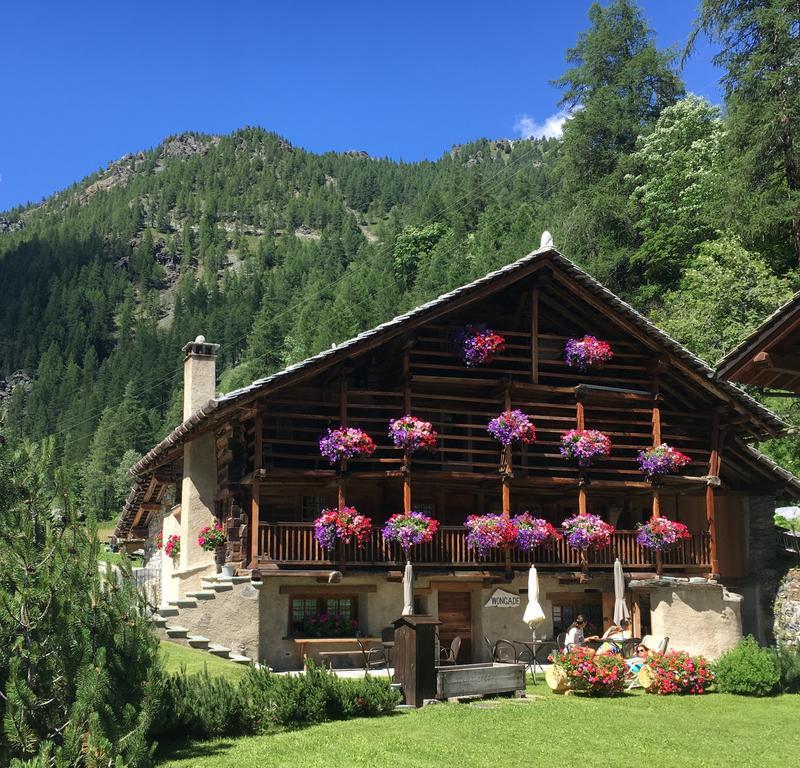 Wongade Hotel Gressoney-la-Trinité Buitenkant foto